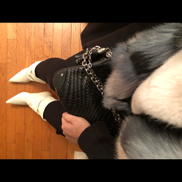 Meet your Posher, Niyla - Picture 1 of 1